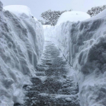 What 60 Inches of Snow Looks Like – Erie, PA