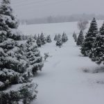 Is December Over for Snow Lovers in PA?