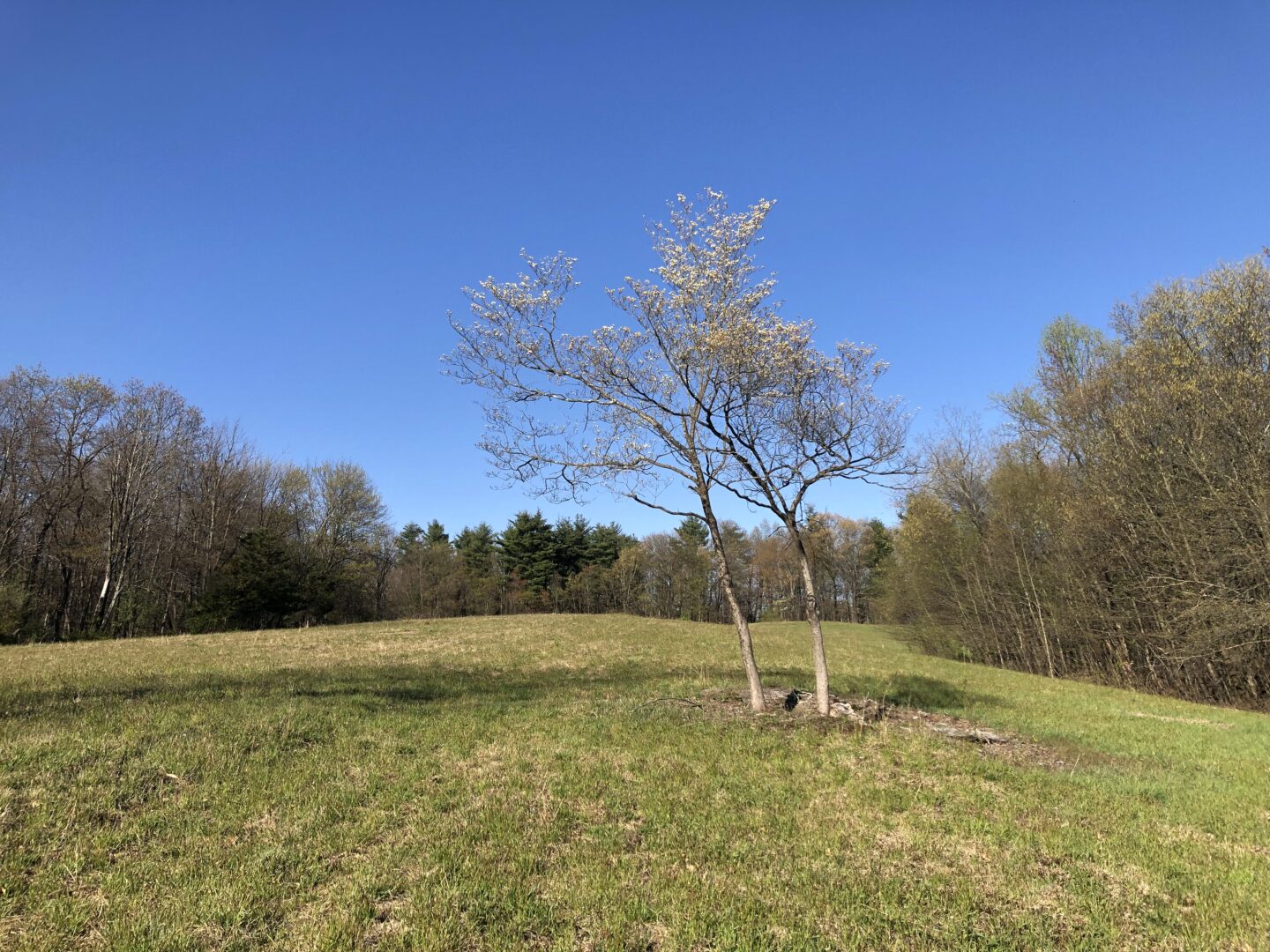 Summery finish to April, and a mild start to May