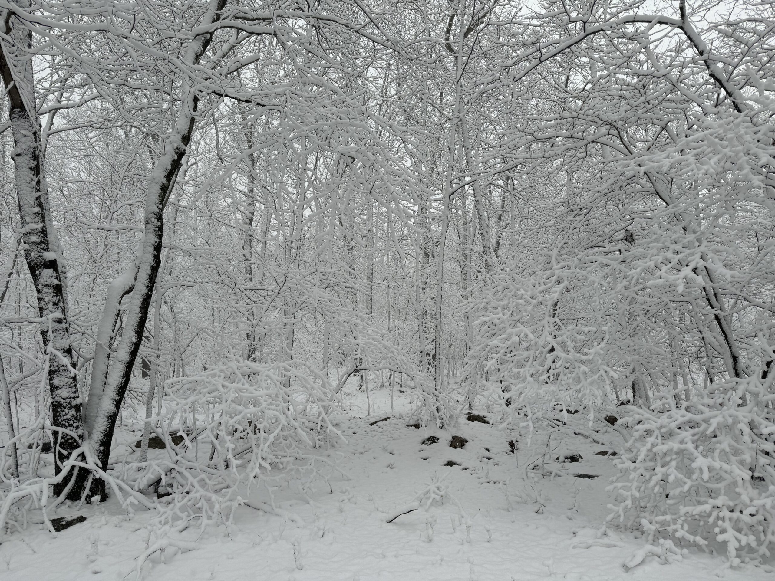 Rain and snow for Thanksgiving, followed by the coldest air so far this