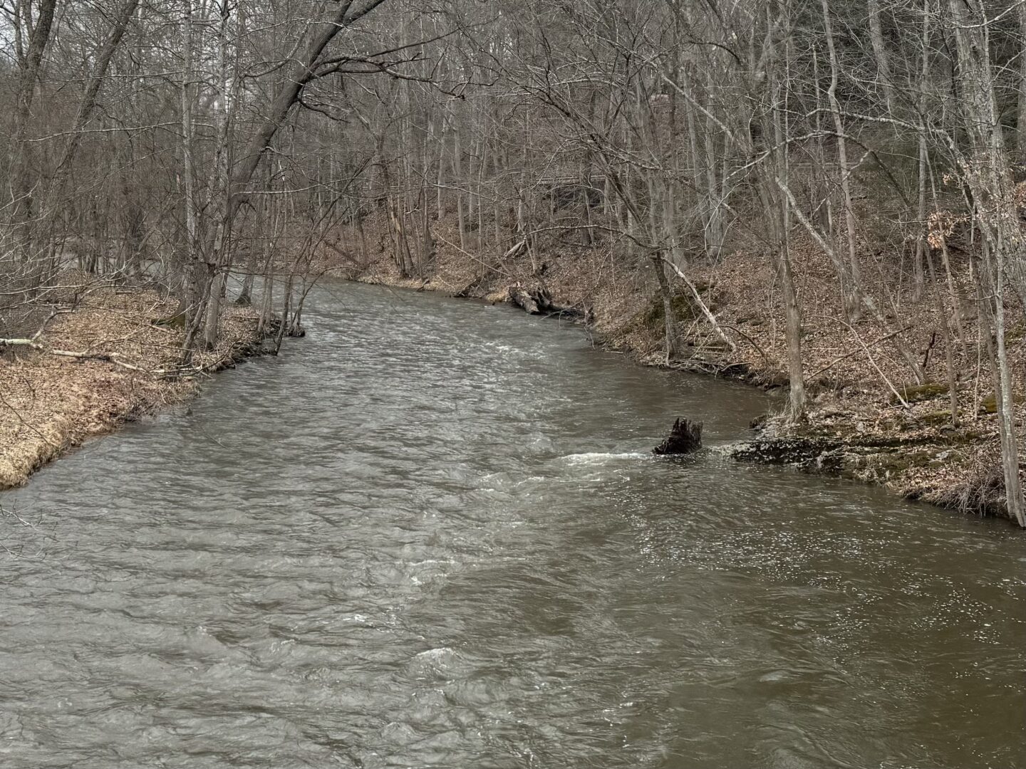 Blustery wind will buffet the region through Saturday